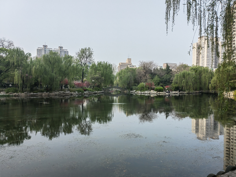 2023郑州人民公园的花